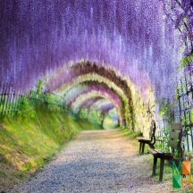 Tranh dán tường Hàn Quốc 3d khổ lớn ở Hà Nội NA - 463